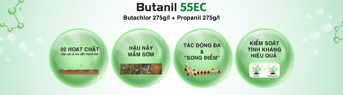 Butanil 55EC Hoạt chất