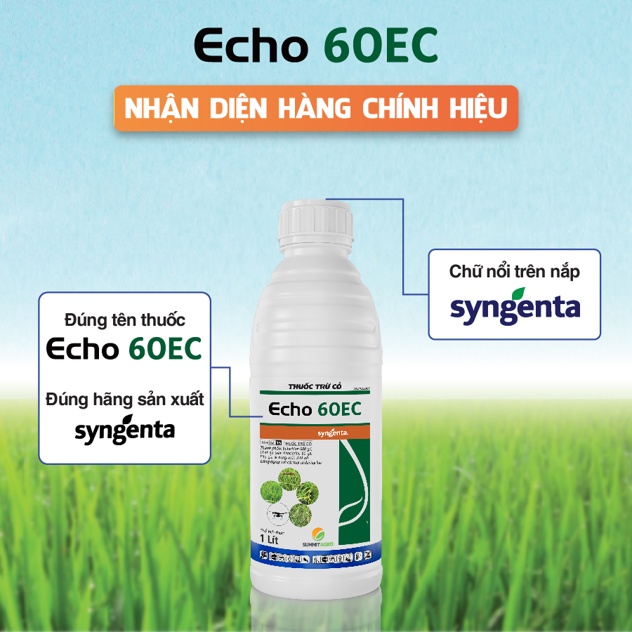 Echo 60EC Nhận diện hàng chính hiệu