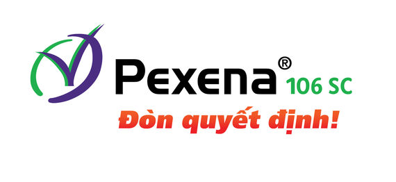 Giải pháp trừ rầy thế hệ mới Pexena 106SC