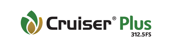 Cruiser Plus Logo