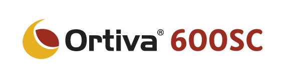 Logo Ortiva