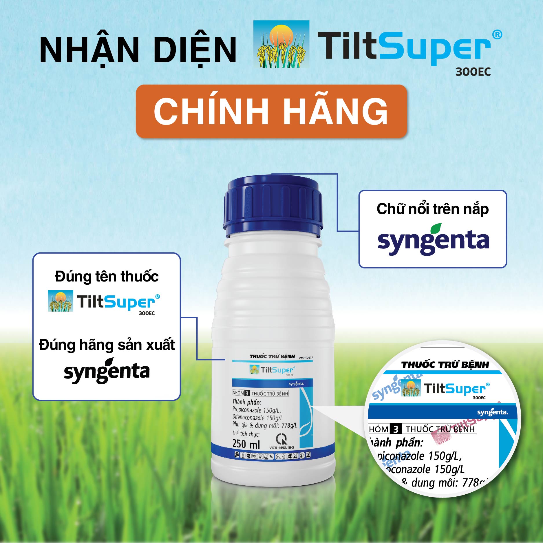 Nhan biet hang chinh hang Syngenta - Tilt Super