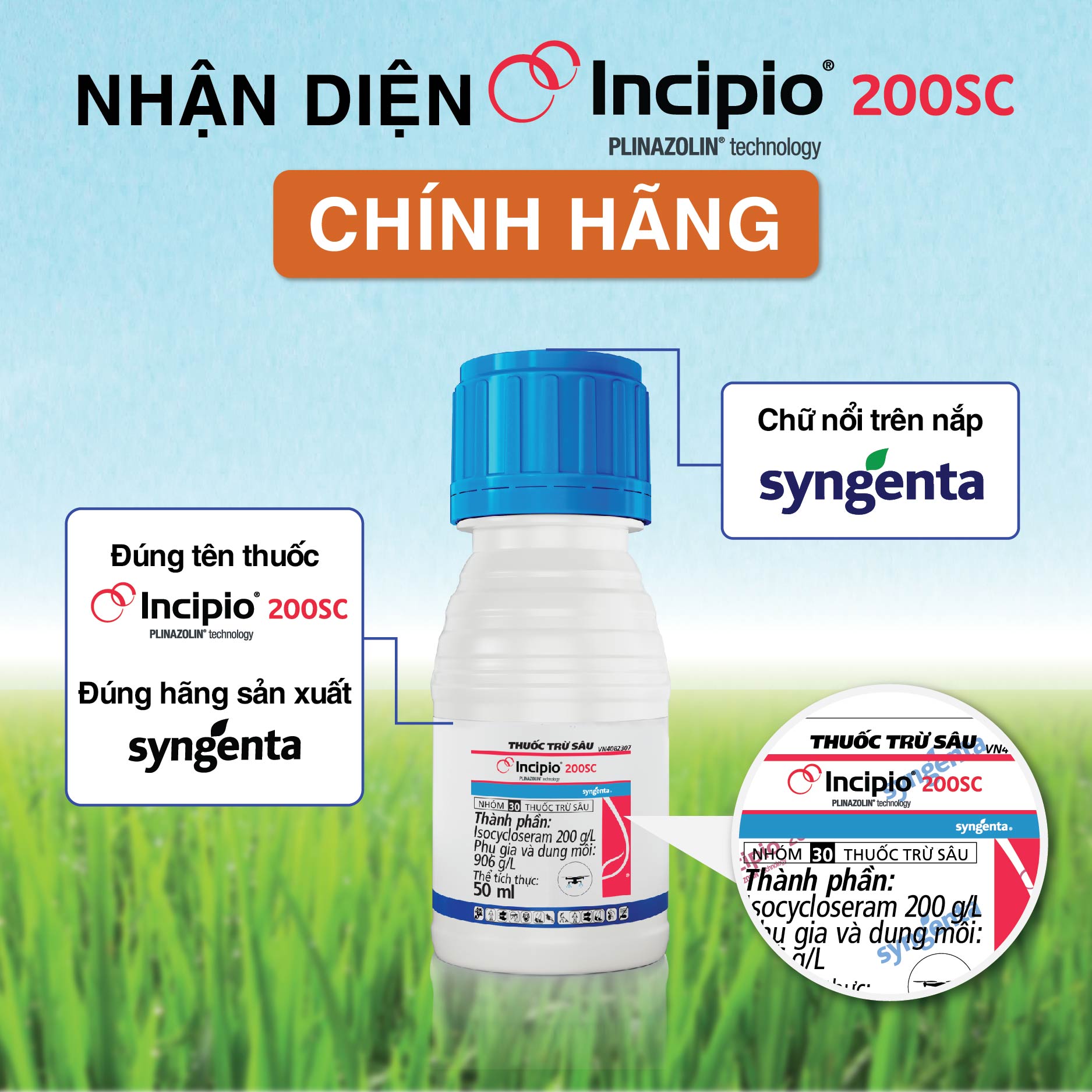Nhan biet hang chinh hang Syngenta - Incipio