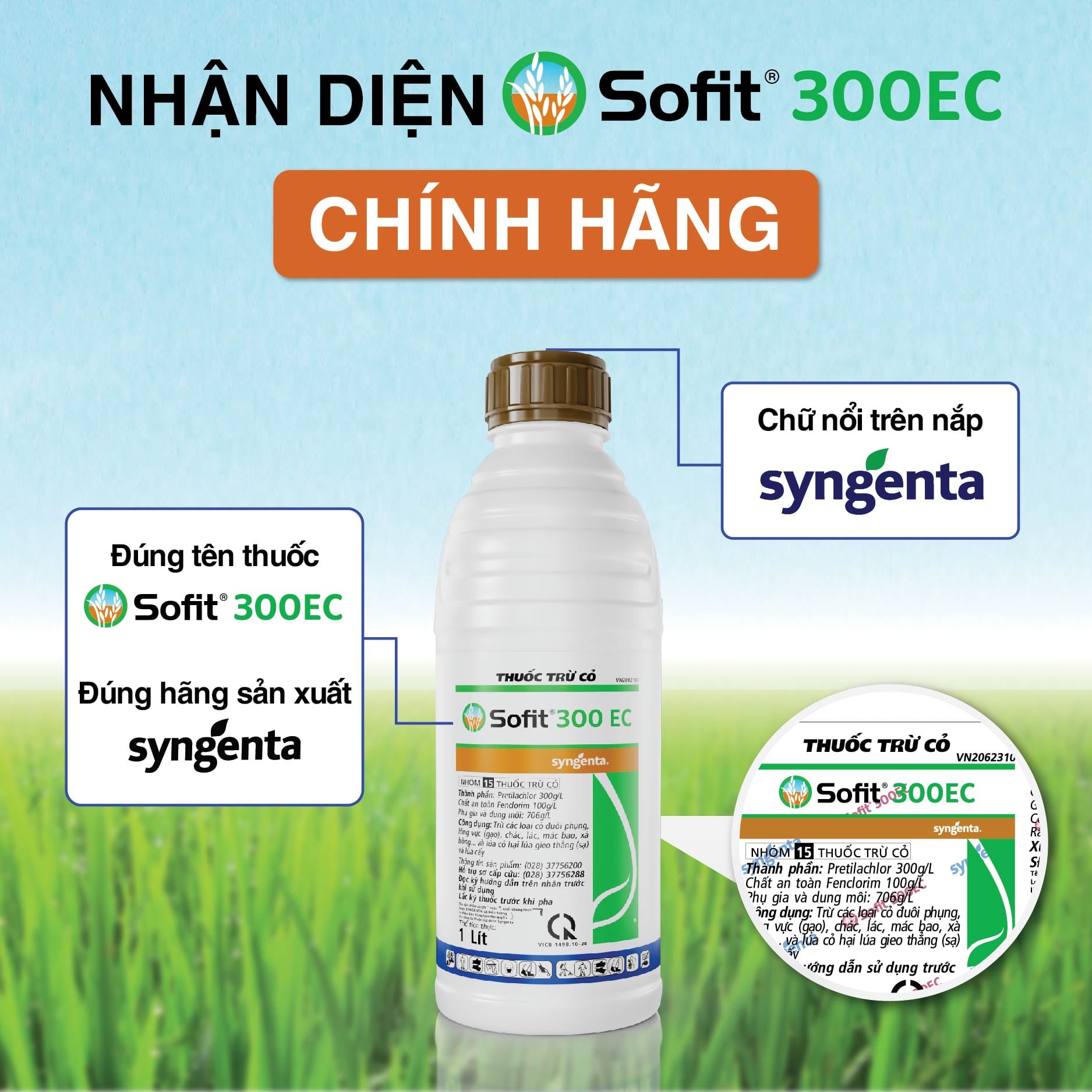 Nhan biet hang chinh hang Syngenta - Sofit
