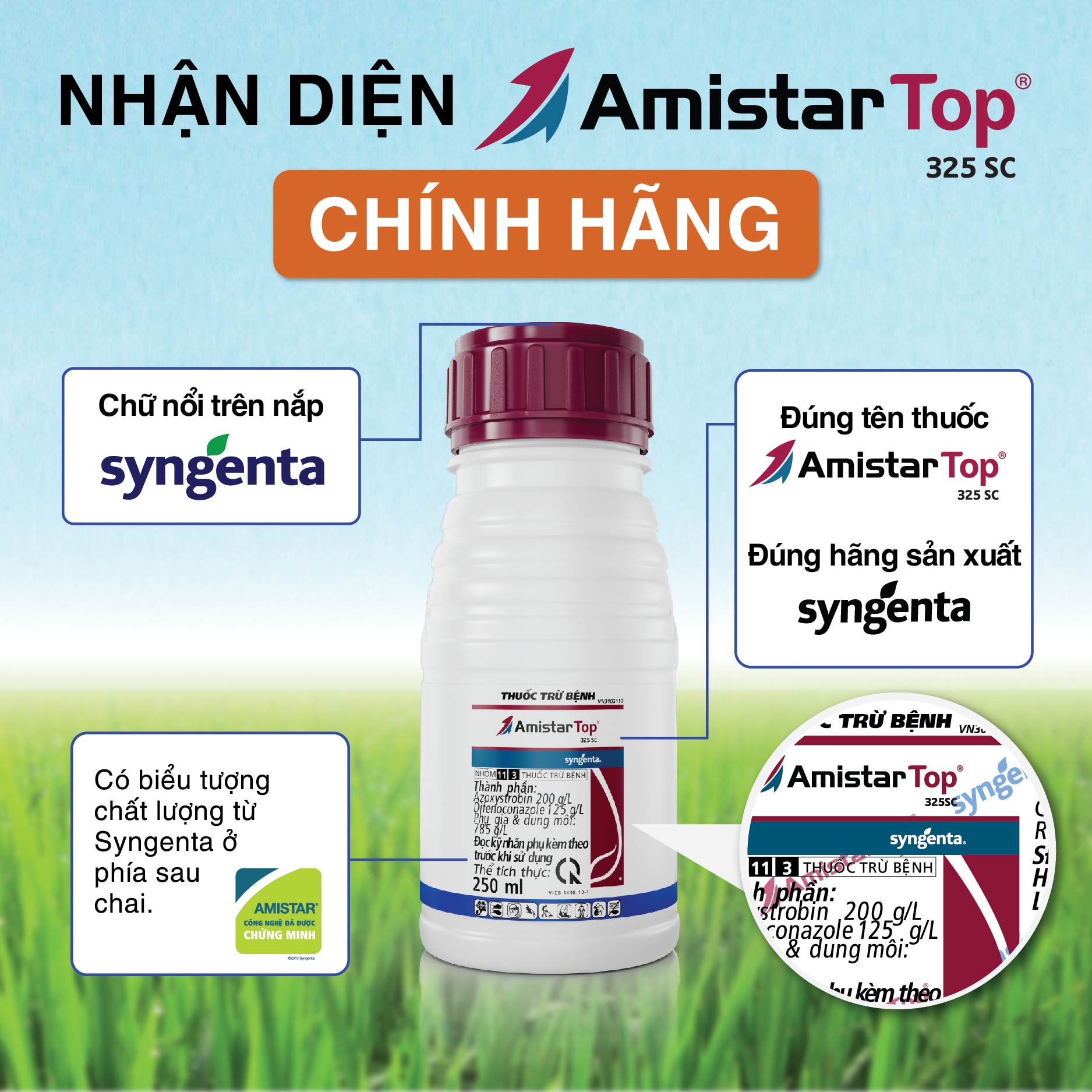 Nhan biet hang chinh hang Syngenta - Amistar Top