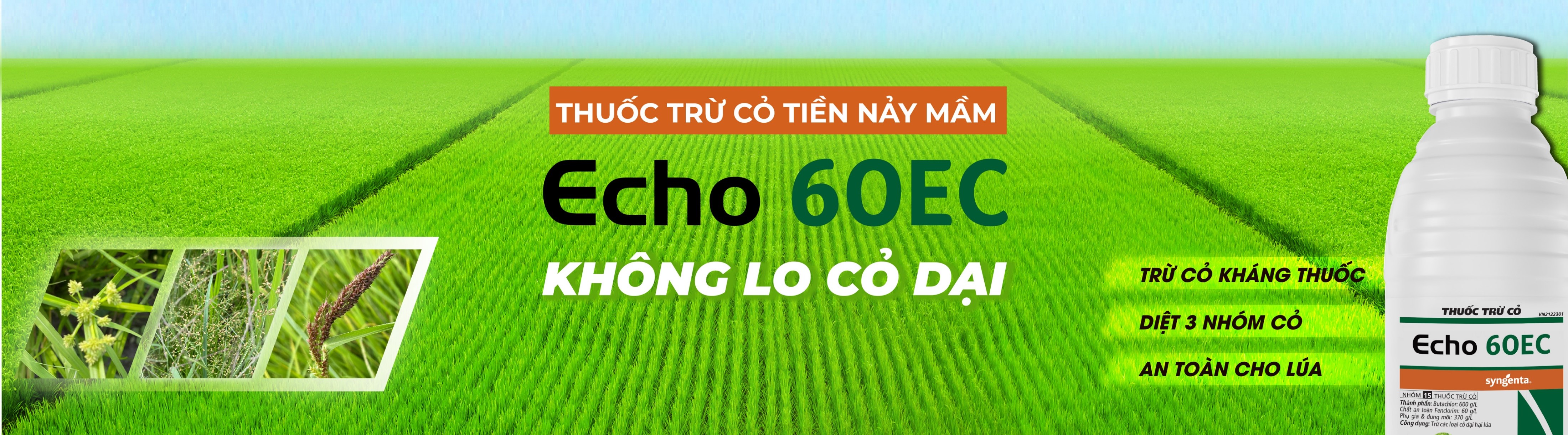 Echo Banner 2