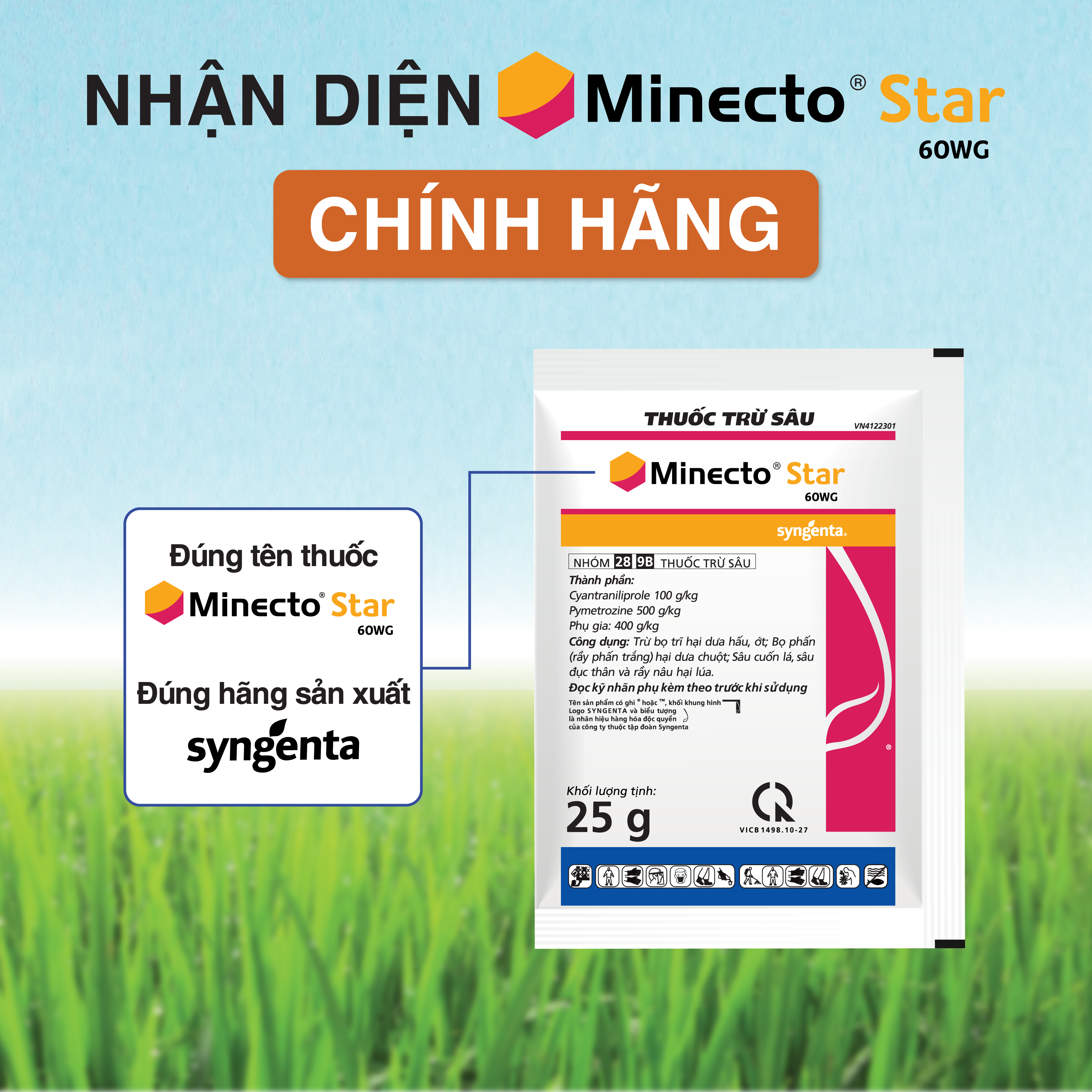 Minecto Star 60WG Nhận diện hàng chính hiệu