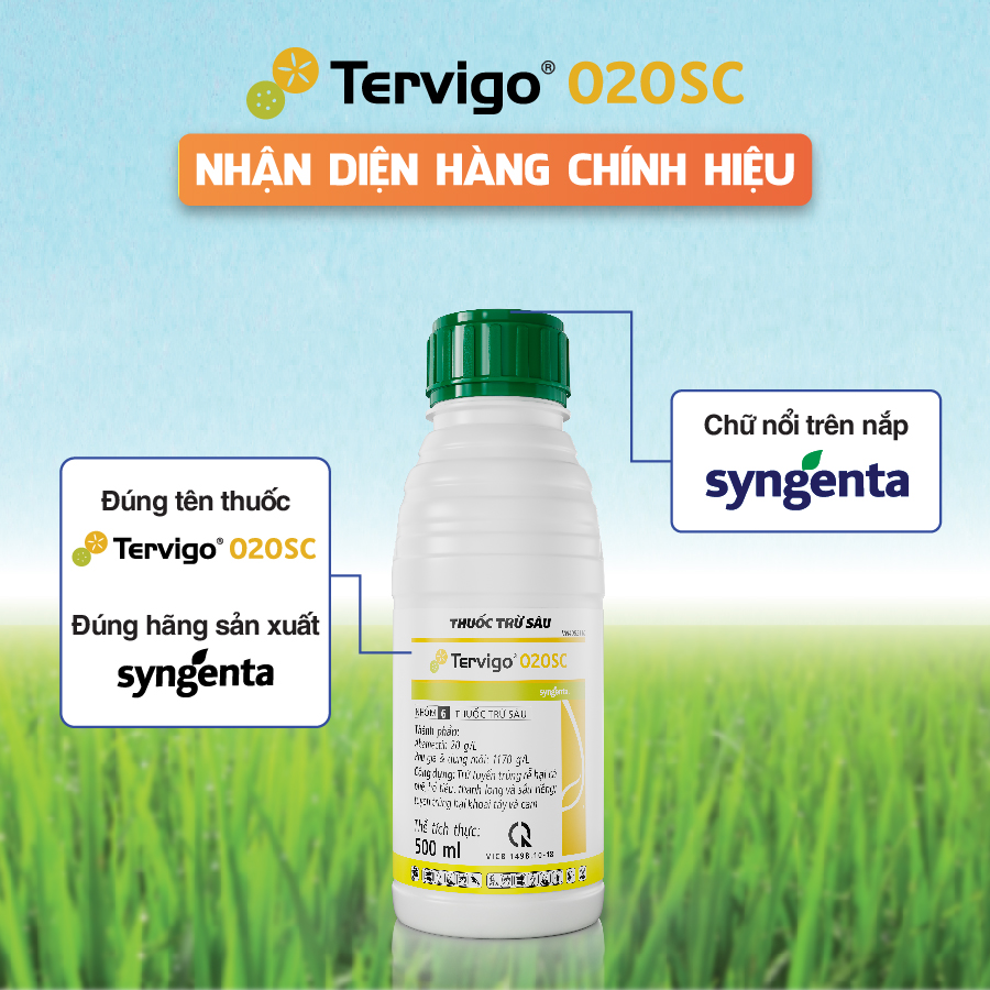 Tervigo Nhận diện hàng chính hiệu