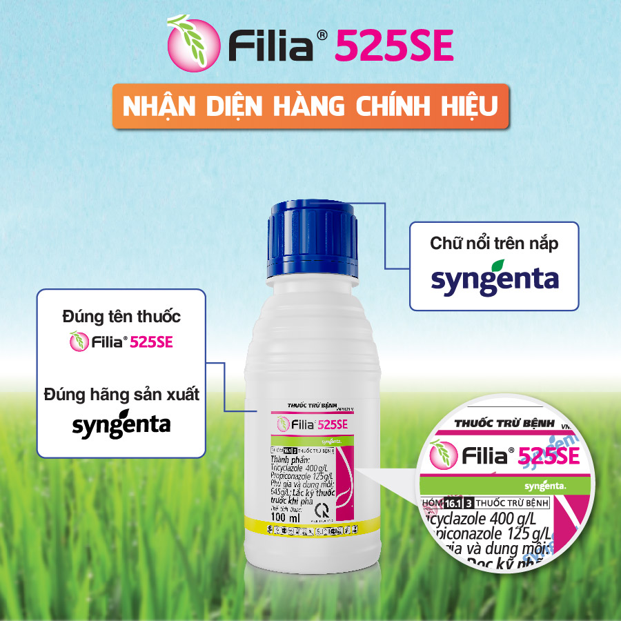 Filia 525SE Nhận diện hàng chính hiệu