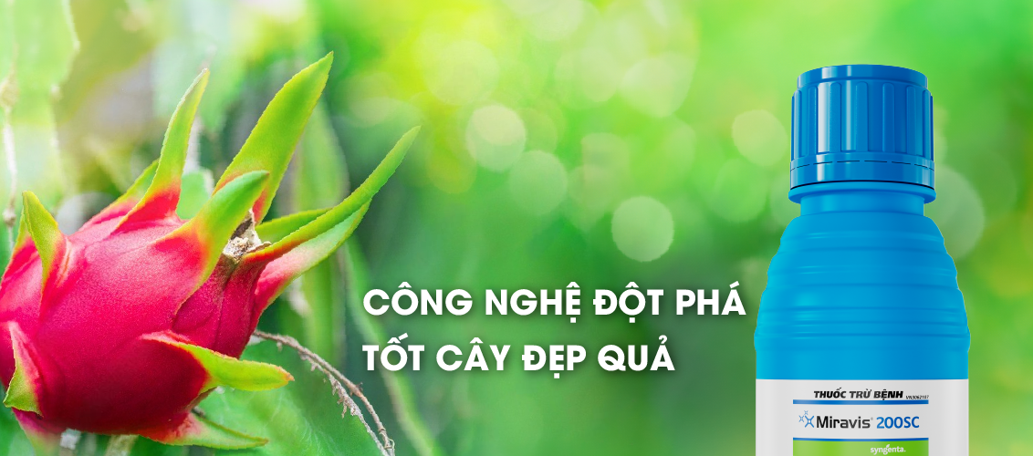 Miravis 200SC Công nghệ đột phá tốt cây đẹp quả