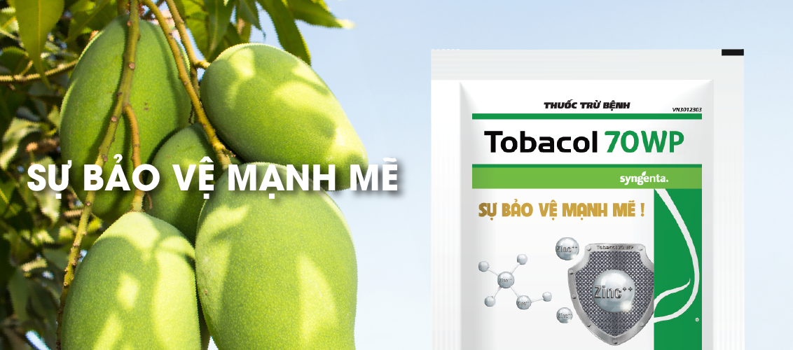 Tobacol 70WP Sự bảo vệ mạnh mẽ