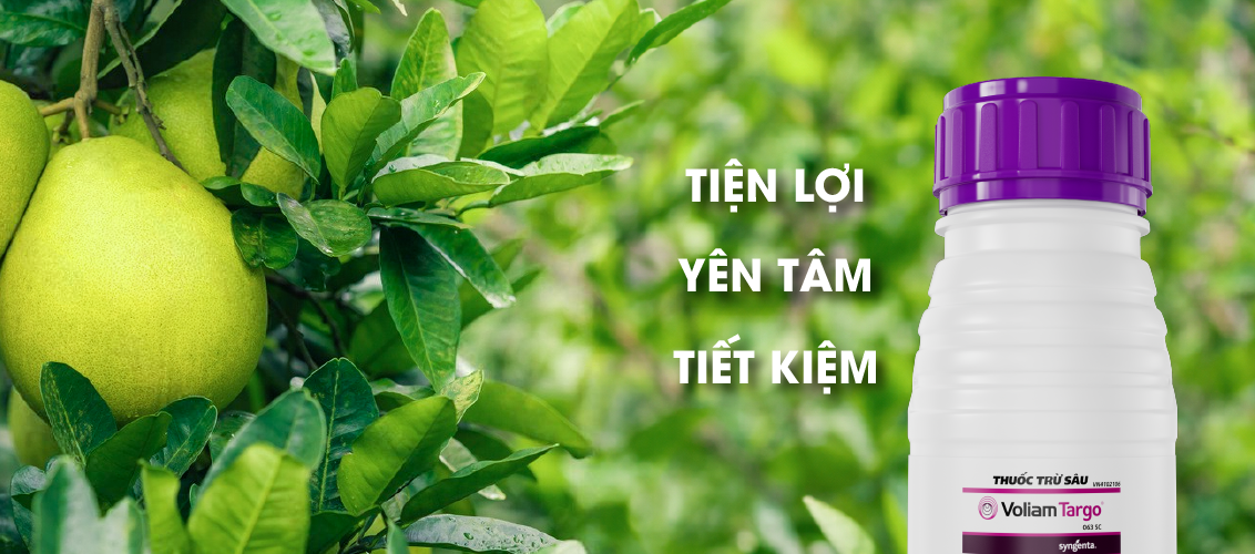 Voliam Targo Tiện lợi yên tâm tiết kiệm