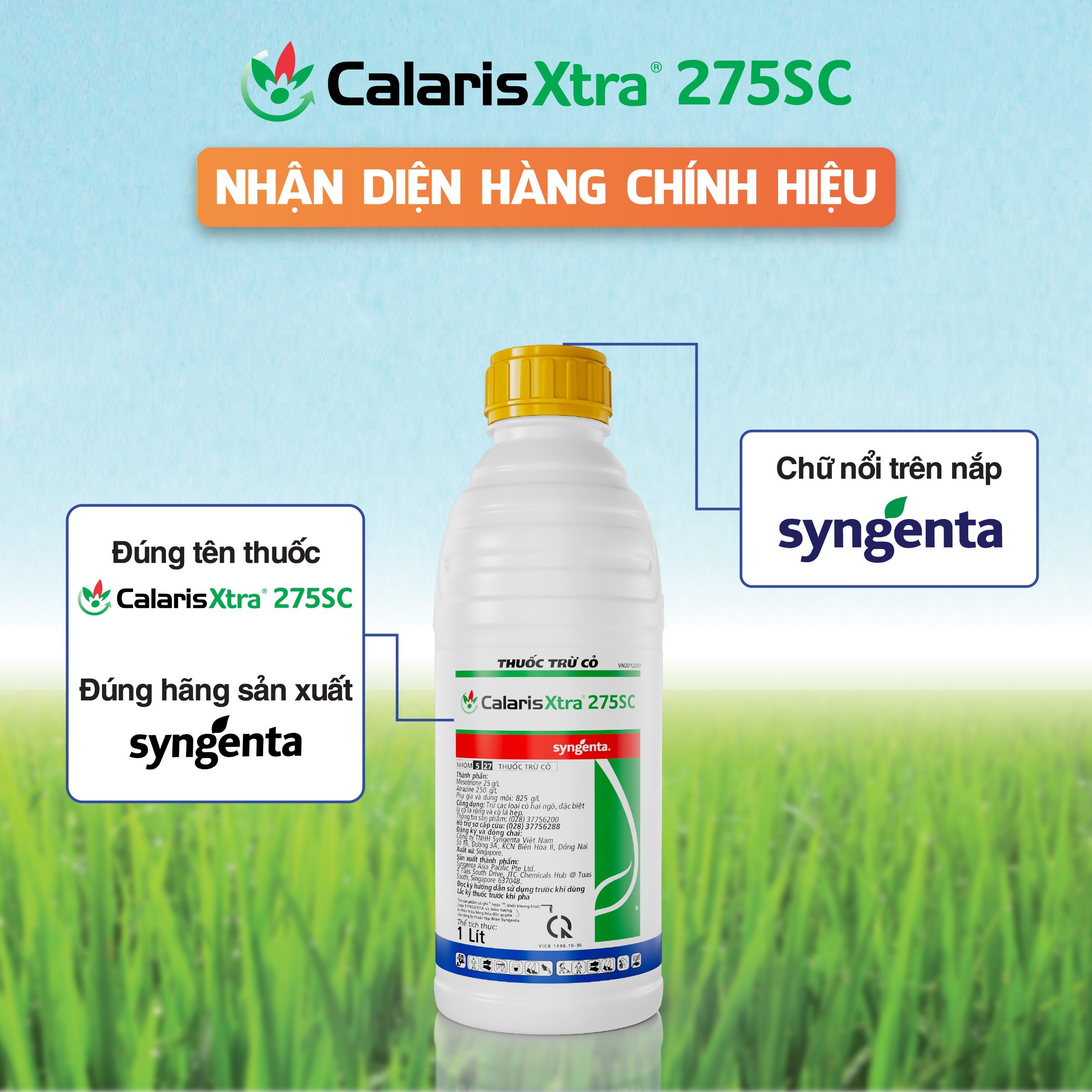 Calaris xtra 275SC Nhận diện hàng chính hiệu