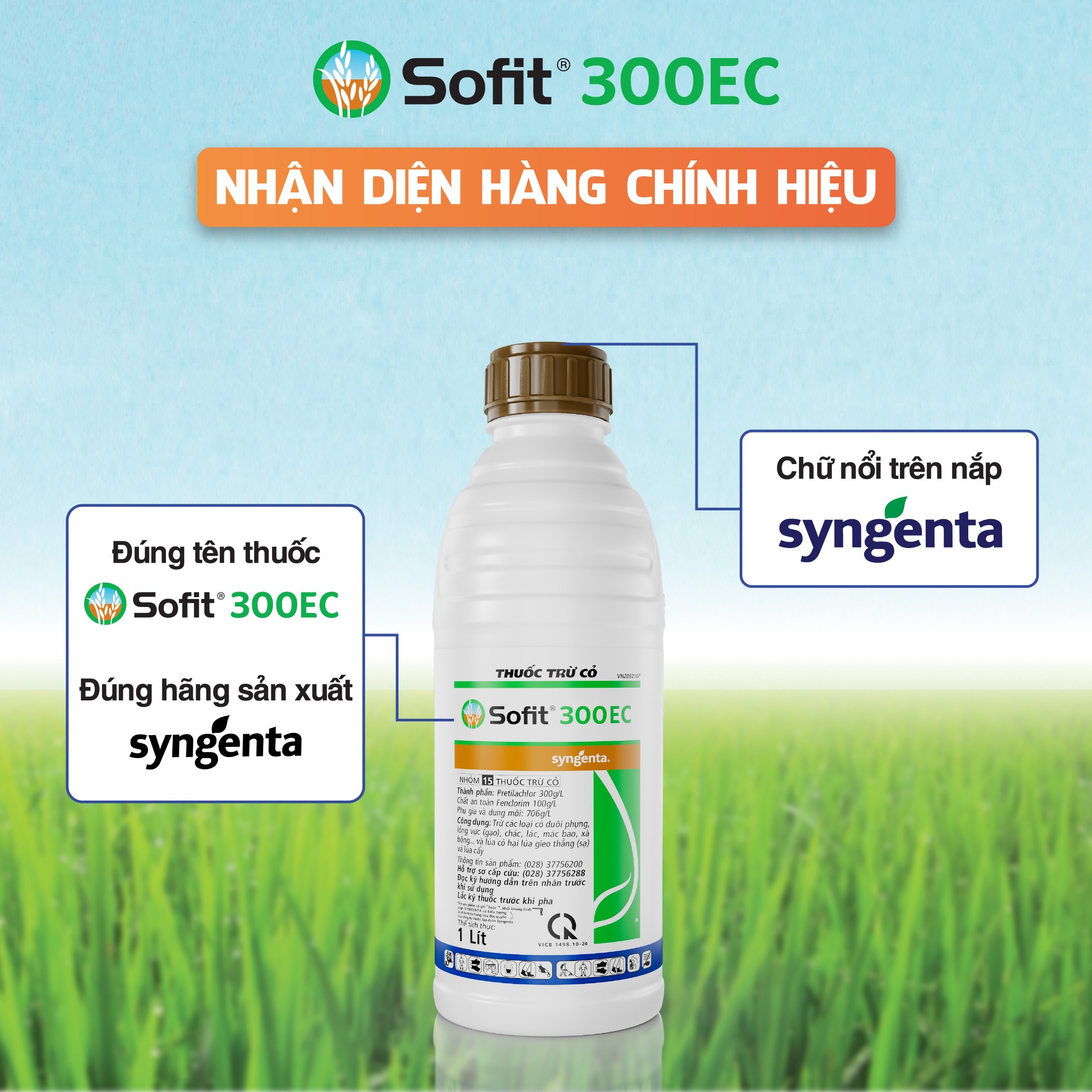 Nhận diện hàng chính hiệu Sofit 300EC