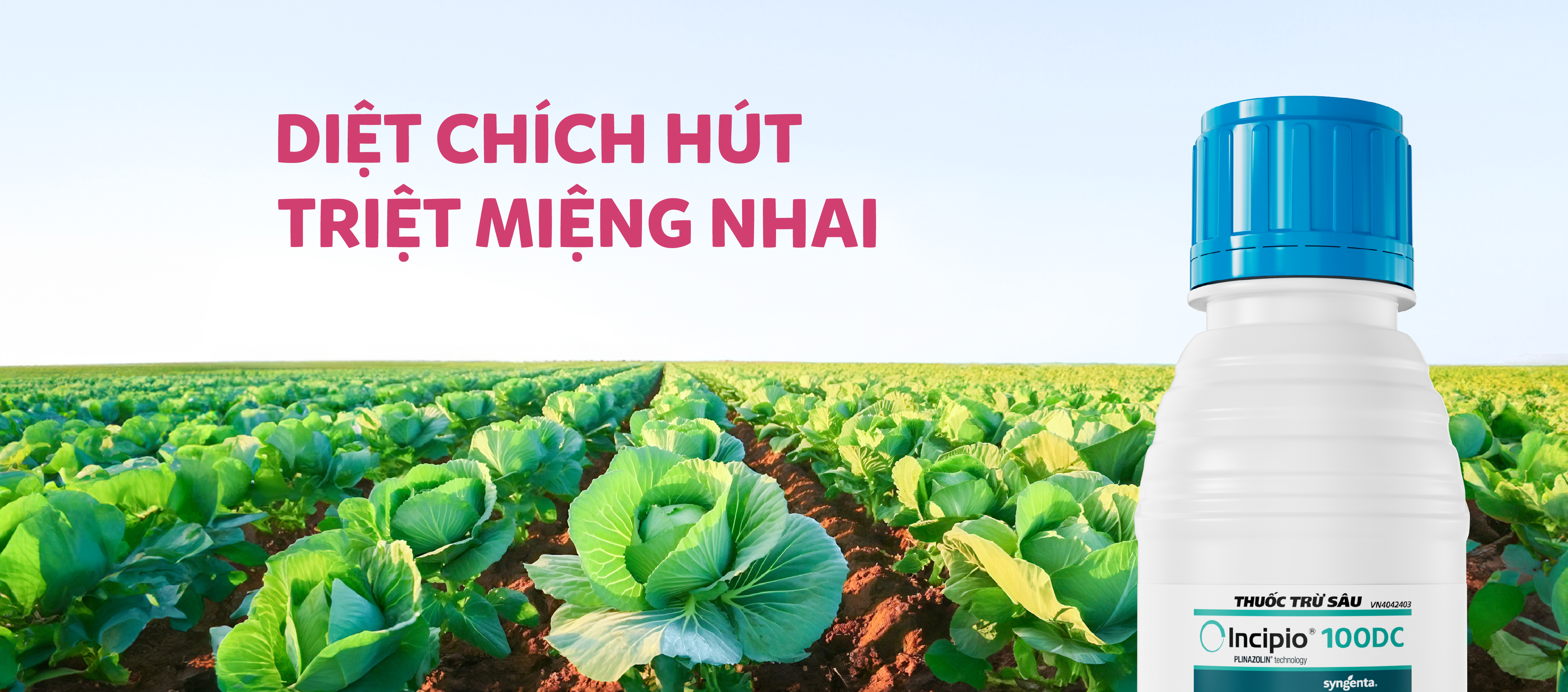 Incipio 100DC Diệt Chích Hút Triệt Miệng Nhai 