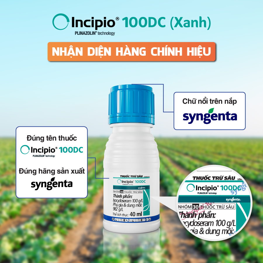Incipio Nhan Dien Hang Chinh Hieu