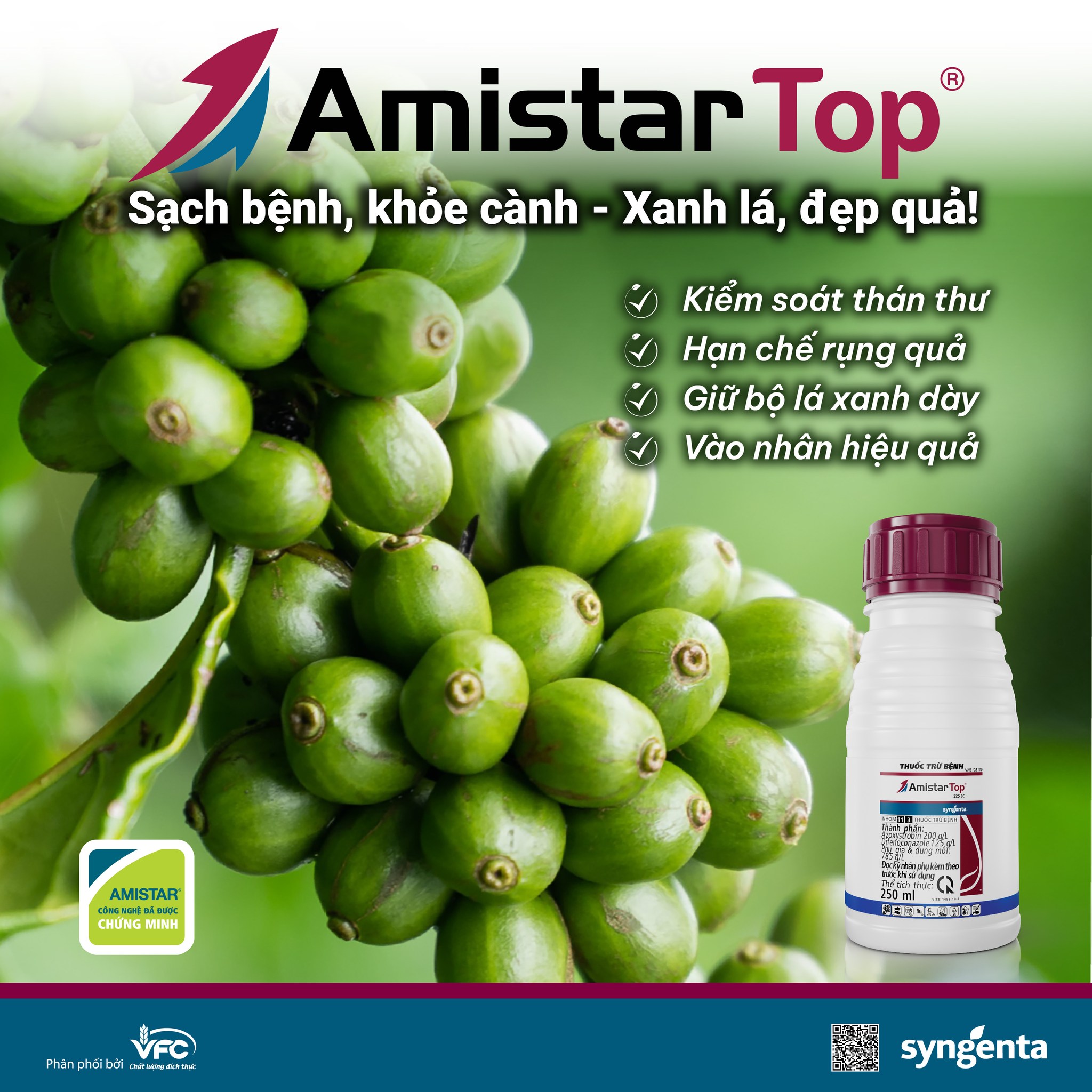 AmistarTopcoffee