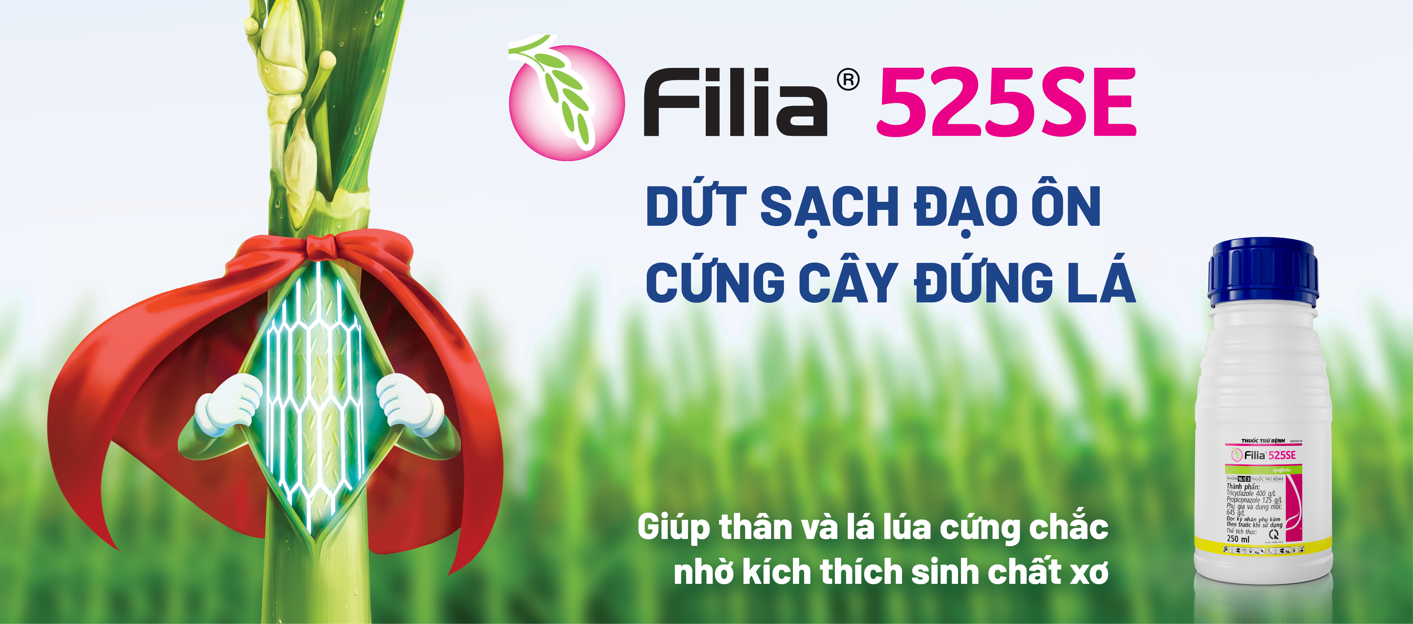 Fillia 525SE 2025 new