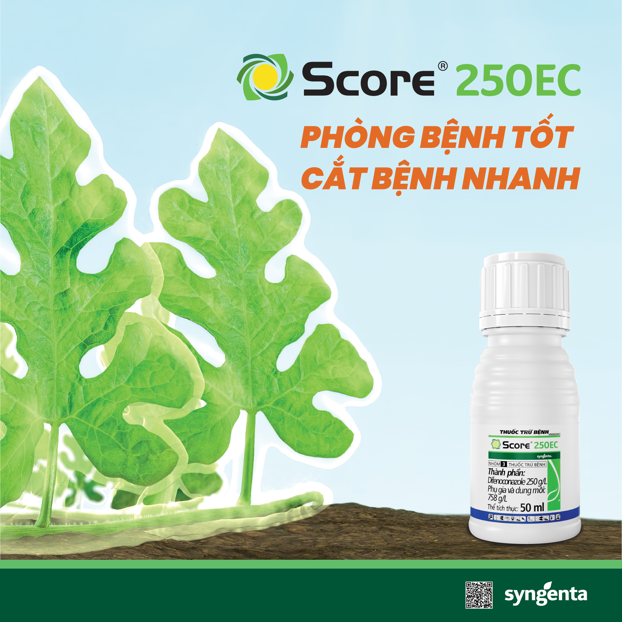 Score KV Phòng bệnh tót cắt bệnh nhanh