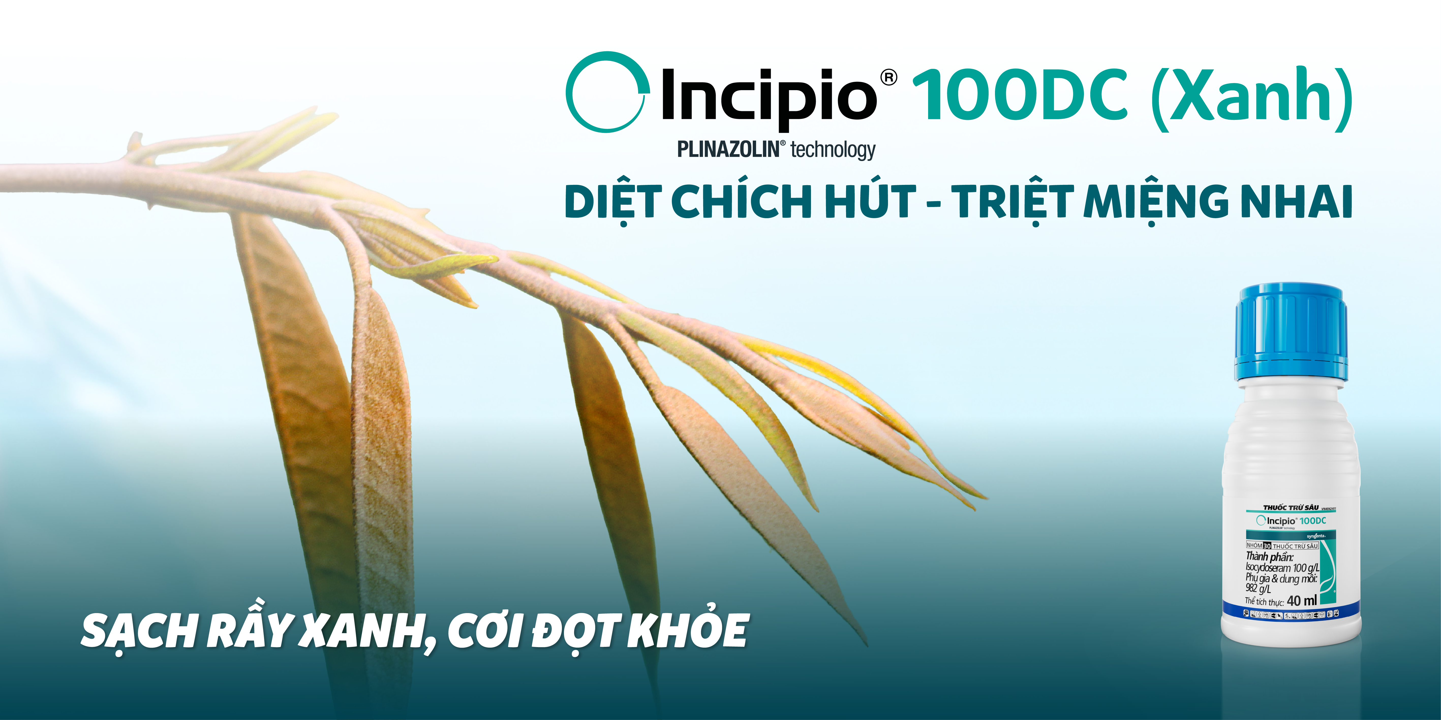 Incipio 100DC