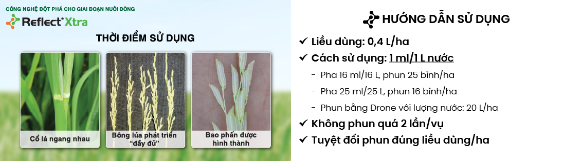 Hướng dẫn sử dụng