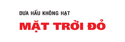 MẶT TRỜI ĐỎ