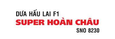 SUPER HOÀN CHÂU