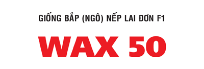 Wax2050
