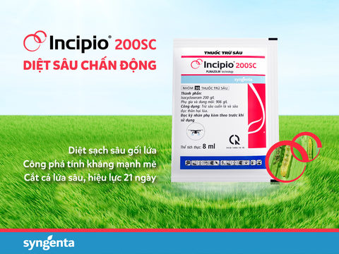 Thuốc trừ sâu Incipio® 200SC - phát minh đột phá từ công nghệ PLINAZOLIN®