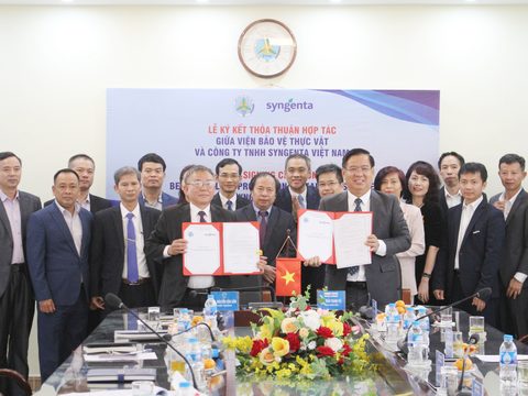 Syngenta Việt Nam hợp tác cùng Viện Bảo vệ thực vật tăng cường nghiên cứu khoa học