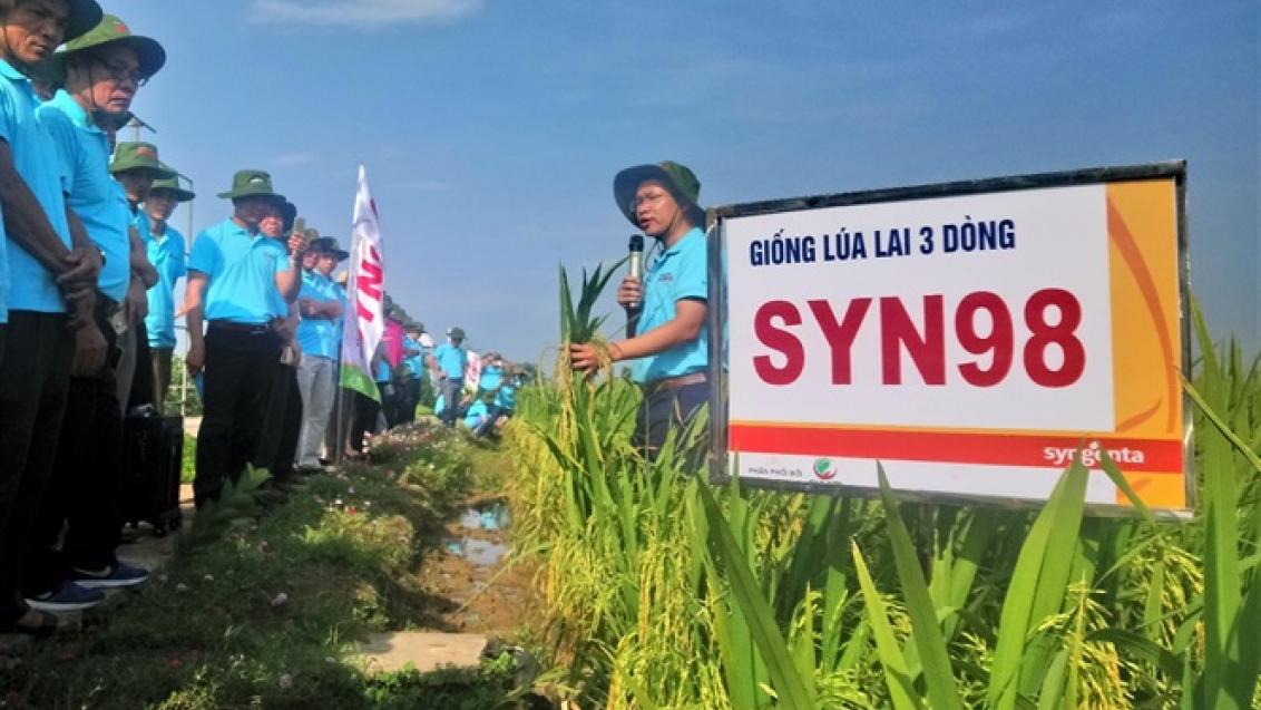 gionglualai3dongsyn98_banner1