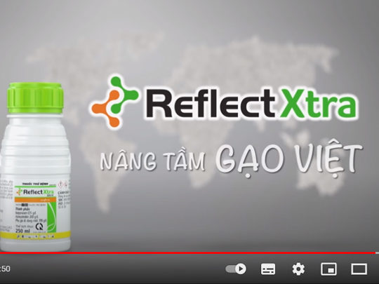 Reflect Xtra - Nâng Tầm Gạo Việt
