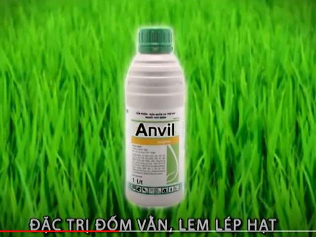Anvil 5 SC