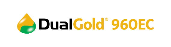Dual Gold Logo