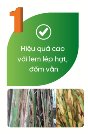 Loi Ich 1