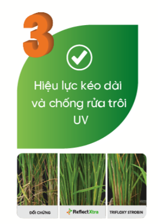 loi ich 3