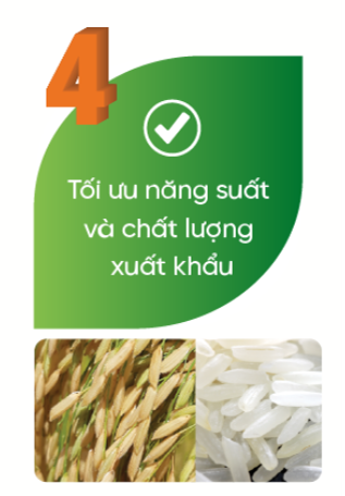 loi ich 4