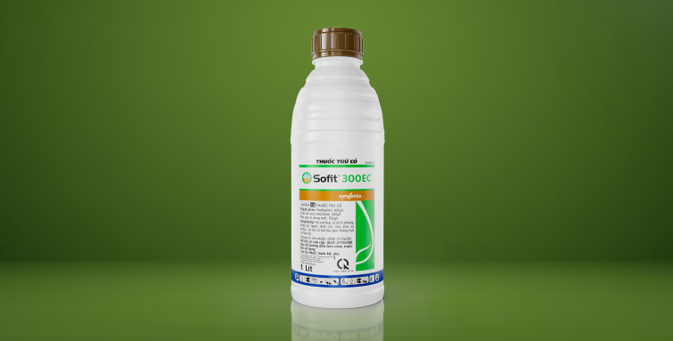 Hình ảnh sản phẩm Sofit
