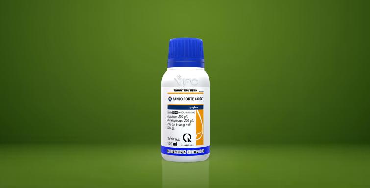 packshot banjoforte
