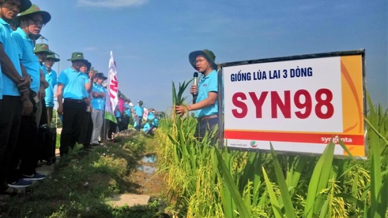 gionglualai3dongsyn98_banner1