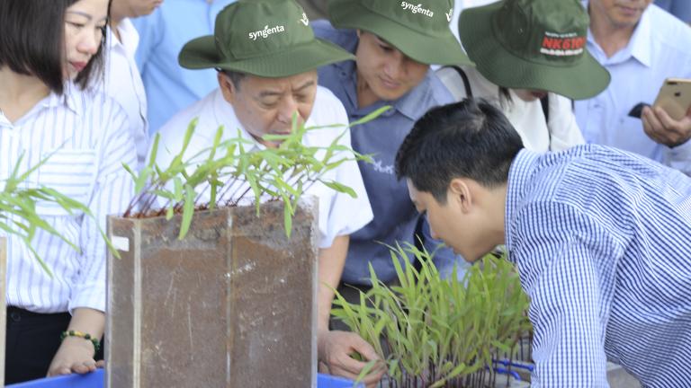 giaiphapmoiphongchongsaukeomuathu_banner1