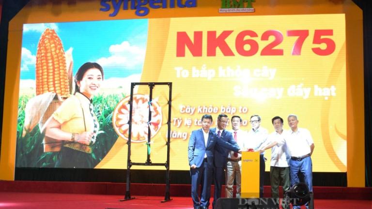 NK6275