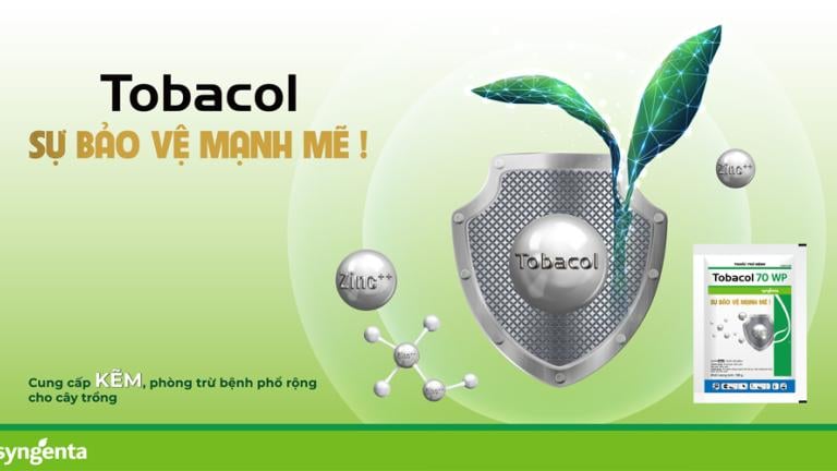 Tobacol