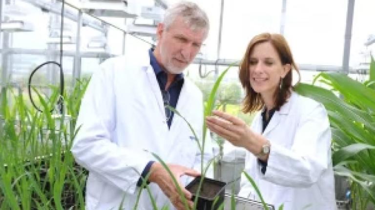 syngenta-duoc-trao-tang-5-giai-thuong-ve-khoa-hoc-cay-trong