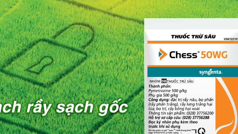 Chess® 50WG