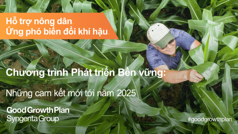 chuongtrinhphattrienbenvungmoi2020_banner1