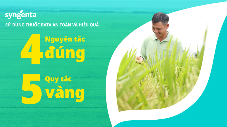 thumbnail 4 dung 5 vang
