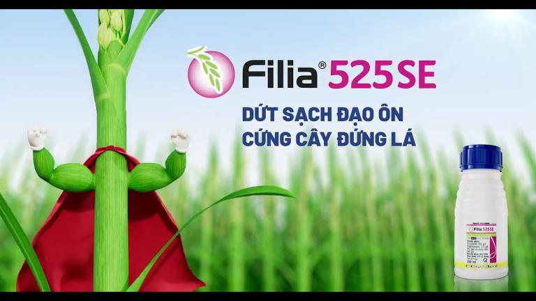 Filia® 525SE 2025: Dứt Sạch Đạo Ôn, Cứng Cây Đứng Lá