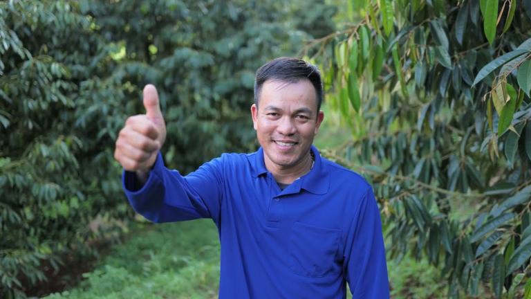 Mát bông, sạch bọ trĩ với Incipio Xanh
