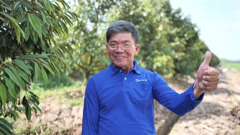 Giảm 3 lần phun thuốc trừ rầy xanh với Incipio Xanh